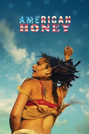 American Honey (2016) Hindi Dual Audio 480p BluRay 500MB - Movierulz