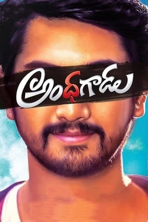 Andhhagadu 2017 Hindi Dual Audio 720p Uncut HDRip [1.4GB] - Movierulz