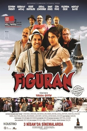 Figuran (2015) Hindi Dual Audio 480p BluRay 330MB - Movierulz