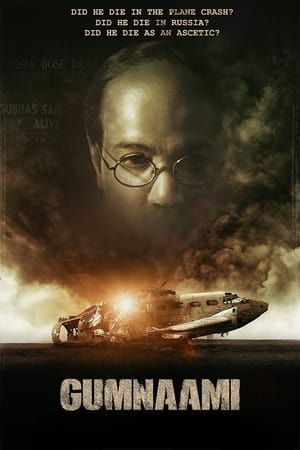 Gumnaami (2019) Hindi Movie 480p HDRip - [400MB] - Movierulz