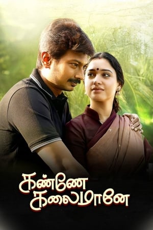 Kanne Kalaimaane 2019 (Hindi -Tamil) Dual Audio 720p UnCut HDRip [1GB] - Movierulz