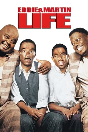 Life (1999) Hindi Dual Audio 720p BluRay [1.3GB] - Movierulz