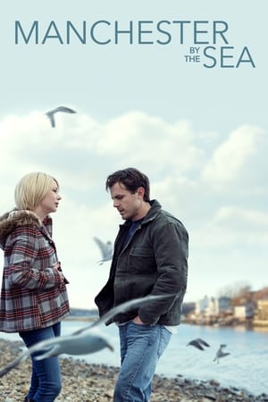 Manchester by the Sea 2016 Hindi Dual Audio 480p BluRay 400MB - Movierulz