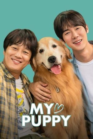 My love puppy (2022) Hindi Dual Audio HDRip 720p – 480p - Movierulz