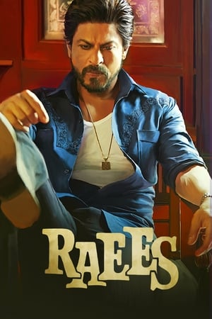 Raees 2017 400MB Full Movie Bluray 480p - Movierulz