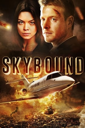 Skybound (2017) Hindi Dual Audio 480p BluRay 350MB - Movierulz