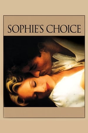 Sophie's Choice (1982) Dual Audio Hindi Full Movie 720p BluRay - 1.1GB - Movierulz