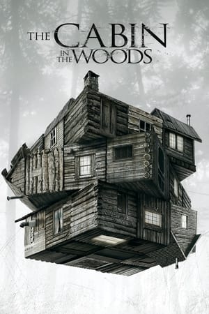 The Cabin in the Woods 2012 Dual Audio Hindi 720p BluRay [800MB] ESubs - Movierulz