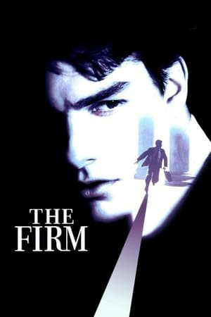 The Firm (1993) Hindi Dual Audio 480p BluRay 450MB - Movierulz