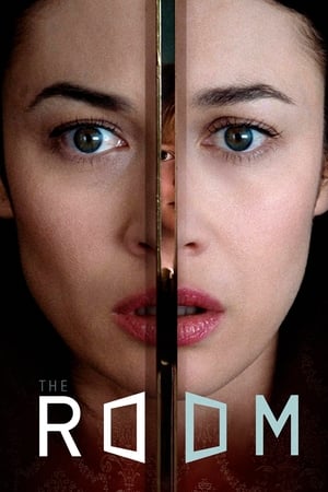 The Room 2019 Hindi Dual Audio 480p BluRay 300MB - Movierulz