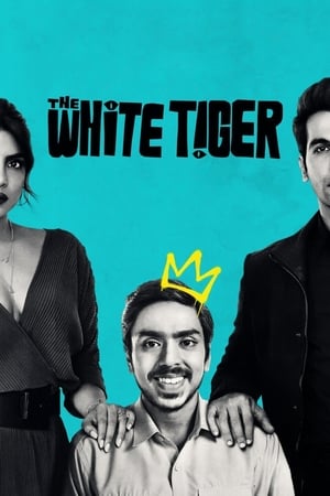 The White Tiger (2021) Hindi Movie 480p HDRip – [370MB] - Movierulz